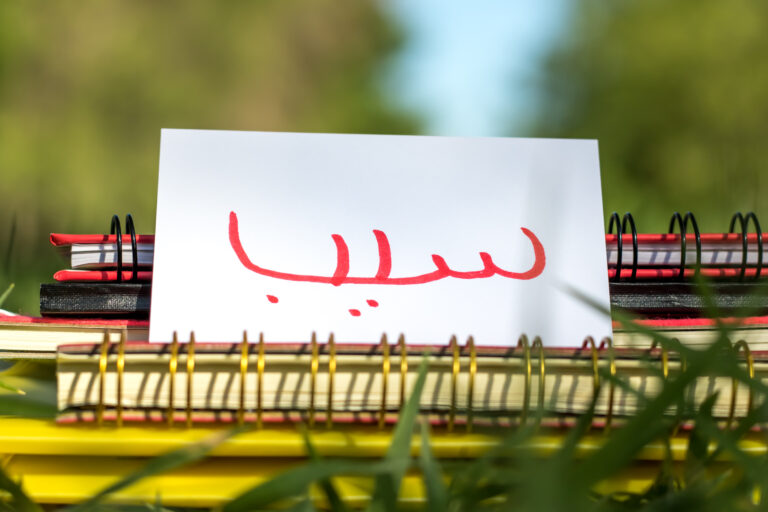 Die wichtigsten 100 Wörter auf Persisch (Farsi)